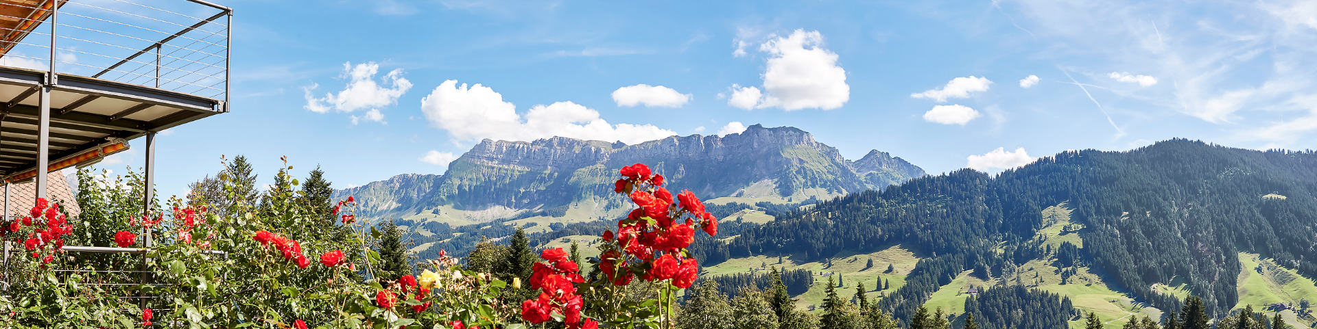 Aussicht auf den Hohgant, © Fotograf Hans Hadorn