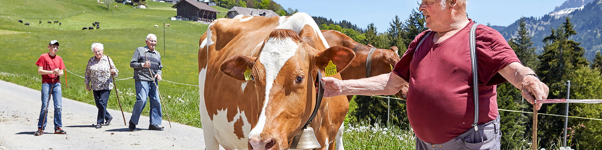 Die Pflegefamilie Hohgantblick, © fotograf Hans Hadorn